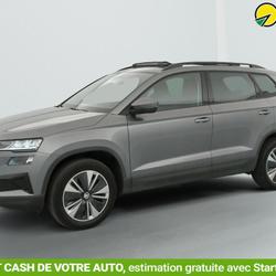 Skoda Karoq 2.0 TDI 116 ch SCR DSG7 Business Saint-Fons