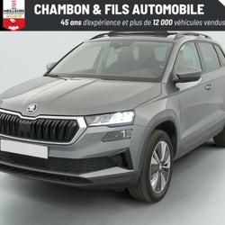 Skoda Karoq 2.0 TDI 116 ch SCR DSG7 Business La Grand-Croix