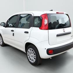 Fiat Panda MHEV 70 H&eacute;nin-Beaumont