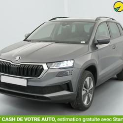 Skoda Karoq 2.0 TDI 116 ch SCR DSG7 Business Saint-Fons