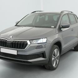 Skoda Karoq 2.0 TDI 116 ch SCR DSG7 Business H&eacute;nin-Beaumont