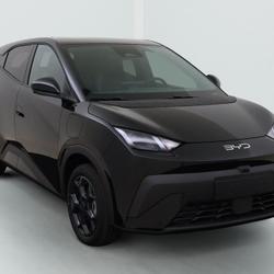BYD Dolphin Comfort 43 2 kWh 156 hp H&eacute;nin-Beaumont