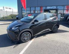 BYD Dolphin - Dolphin Surf 30 kWh 88 ch Active - 18 990 €