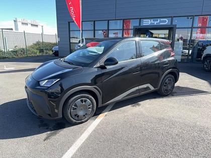BYD Dolphin - Dolphin Surf 30 kWh 88 ch Active - 18 990 €