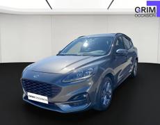 Ford Kuga Lattes