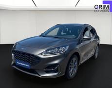 Ford Kuga Lattes