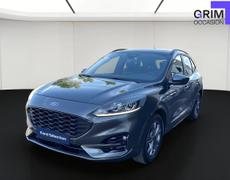 Ford Kuga Lattes