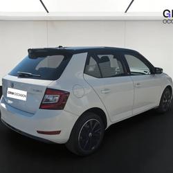 Skoda Fabia Fabia 1.0 TSI 110 ch BVM6 Monte-Carlo Onet-le-Ch&acirc;teau