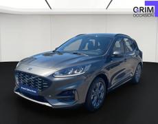 Ford Kuga Lattes