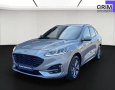 Ford Kuga Lattes