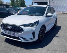 Ford Kuga Lattes