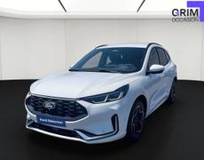 Ford Kuga Lattes