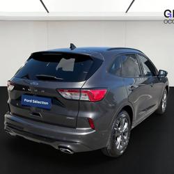 Ford Kuga Kuga 2.5 Duratec 190 ch FlexiFuel FHEV Bio&eacute;thanol Powershift ST-Line Business Lattes