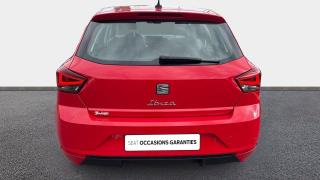 Seat Ibiza  - Copa - photo 3
