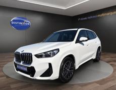 BMW X1 Pabu