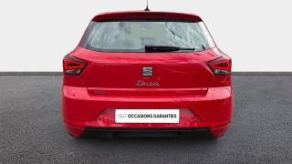 Seat Ibiza  - Copa - photo 3