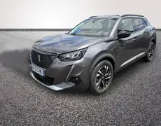 Peugeot 2008 Pabu