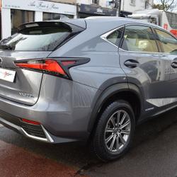 Lexus NX 300H 2WD 197 CV PACK BUSINESS MY21 Saint-Maur-des-Foss&eacute;s