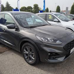 Ford Kuga 2.5 Duratec 190ch FHEV E85 ST-Line BVA Avignon
