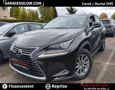 Lexus NX Corzé
