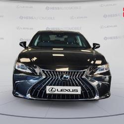 Lexus ES 300h Business MY25 Souffelweyersheim
