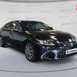 Lexus ES 300h Business MY25 Souffelweyersheim