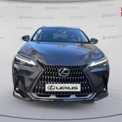Lexus NX 450h+ Executive 4WD MY25 Souffelweyersheim