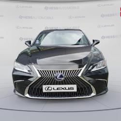 Lexus ES 300h Business Plus MY21 Souffelweyersheim