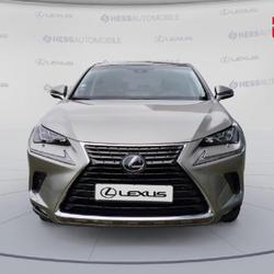 Lexus NX 300h 4WD Executive Euro6d-T Souffelweyersheim