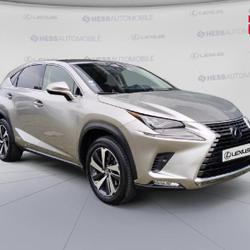 Lexus NX 300h 4WD Executive Euro6d-T Souffelweyersheim