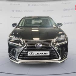 Lexus NX 300h 2WD Design MY21 Souffelweyersheim
