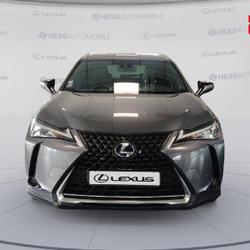 Lexus UX 250h 2WD Premium Edition MY21 Souffelweyersheim