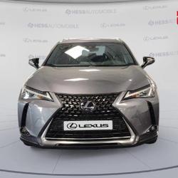 Lexus UX 250h 2WD Premium Edition MY21 Souffelweyersheim