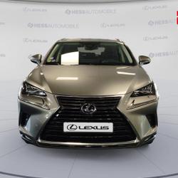 Lexus NX 300h 4WD Executive Innovation MY21 Souffelweyersheim