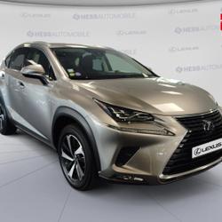 Lexus NX 300h 4WD Executive Innovation MY21 Souffelweyersheim