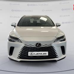 Lexus RX 450h+ Executive 4WD MY25 occasion - Souffelweyersheim - photo 2/30