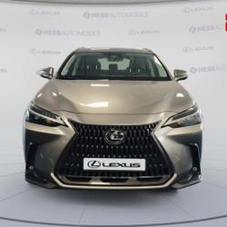 Lexus NX 350h Luxe 4WD occasion - Souffelweyersheim - photo 2/30
