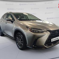 Lexus NX 350h Luxe 4WD occasion - Souffelweyersheim - photo 3/30