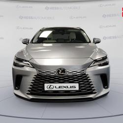 Lexus RX 450h+ Executive 4WD MY24 occasion - Souffelweyersheim - photo 2/30