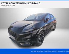 Ford Puma Gap