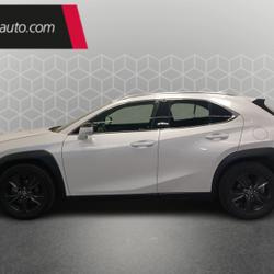 Lexus UX 250h 2WD Luxe Toulouse
