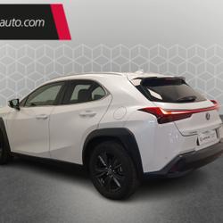 Lexus UX 250h 2WD Luxe Toulouse