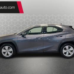 Lexus UX 250h 2WD Pack Business Toulouse