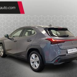 Lexus UX 250h 2WD Pack Business Toulouse