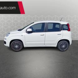 Fiat Panda 1.2 69 ch S/S Cool Bruges