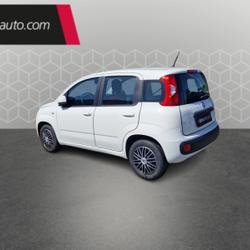 Fiat Panda 1.2 69 ch S/S Cool Bruges