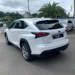 Lexus NX 300h 4WD Pack Business Quimper