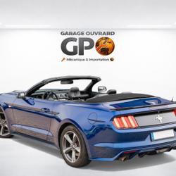 Ford Mustang Standard Monsireigne