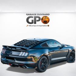 Ford Mustang GT Fastback Monsireigne