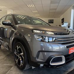 Citroen C5 Aircross BLUEHDI 130CH S&S BUSINESS EAT8 E6.D Stiring-Wendel